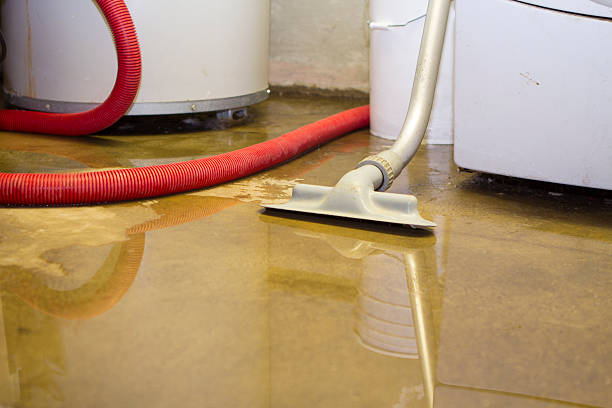 Reliable Madison, OH Water damage restoration Solutions